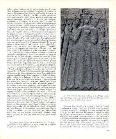 LAMINA V45485: Cenobi de Vallbona de les Monges