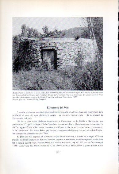 LAMINA V45211: Pou de glaç de l'Avenco