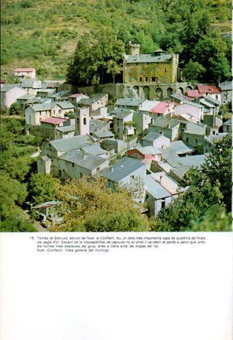 LAMINA V45203: Vista de Nyer