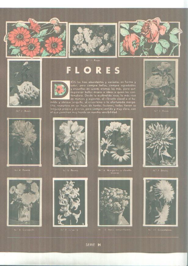 Cromos: Gallina Blanca: pagina publicidad y Flores