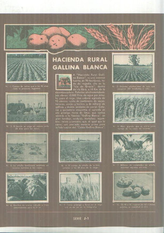 Cromos: Gallina Blanca:  Costa Brava + Hacienda Rural