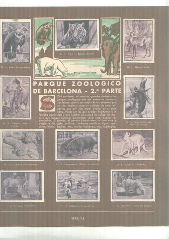 Cromos: Gallina Blanca:  Zoologico de Barcelona + Leche