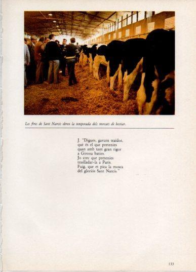 LAMINA V45826: Mercat de bestiar a la fira de Sant Narcis