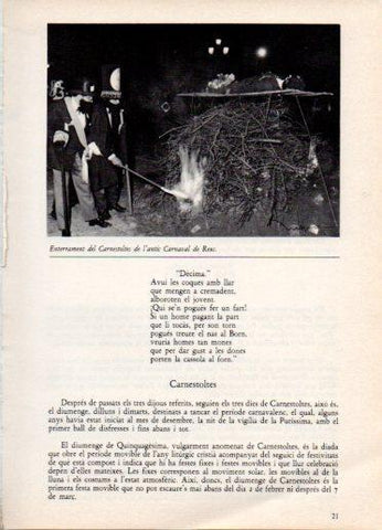 LAMINA V45776: Enterrament del Carnestoltes, Carnaval de Reus
