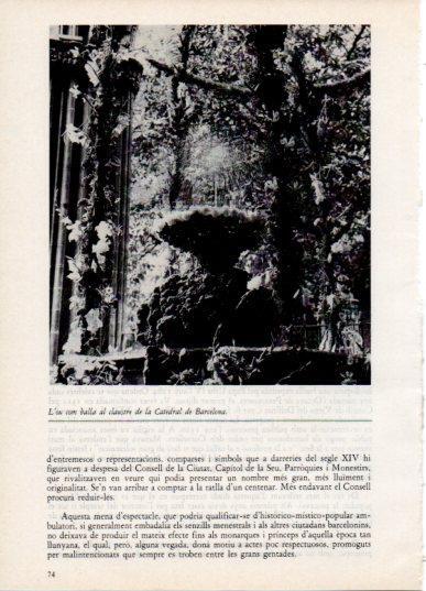 LAMINA V45800: L'ou com balla, Catedral de Barcelona