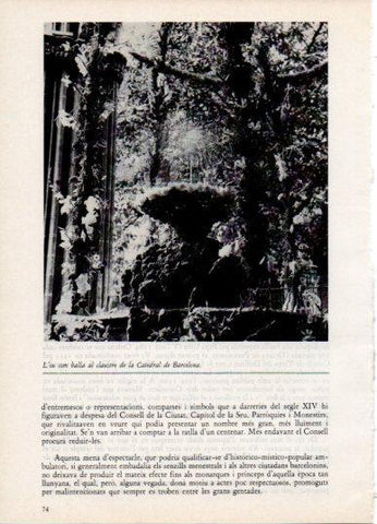 LAMINA V45800: L'ou com balla, Catedral de Barcelona