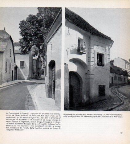 LAMINA V45607: La Cobenzlgasse a Grinzing