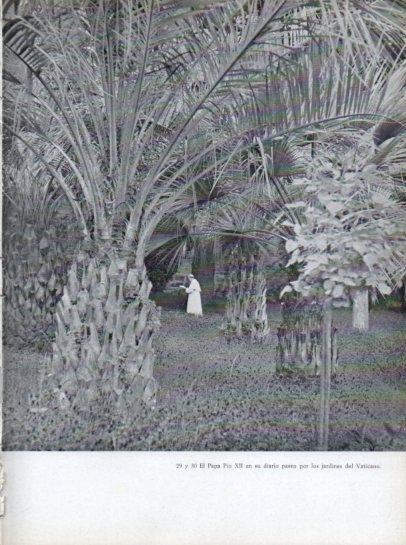 LAMINA V45619: Pio XII en los Jardines del Vaticano