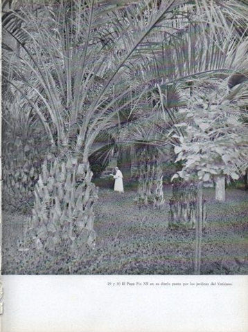 LAMINA V45619: Pio XII en los Jardines del Vaticano