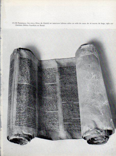 LAMINA V45671: El Pentateuco, Instituto Pontificio en Roma