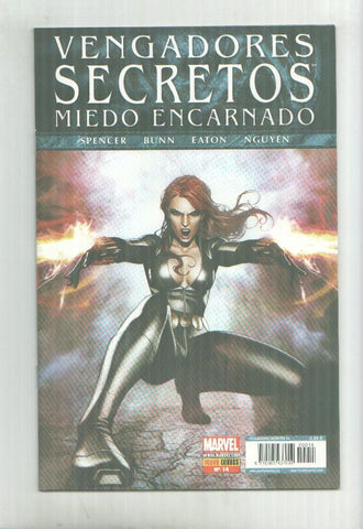 Panini: Vengadores Secretos año 2 numero 14: Miedo encarnado