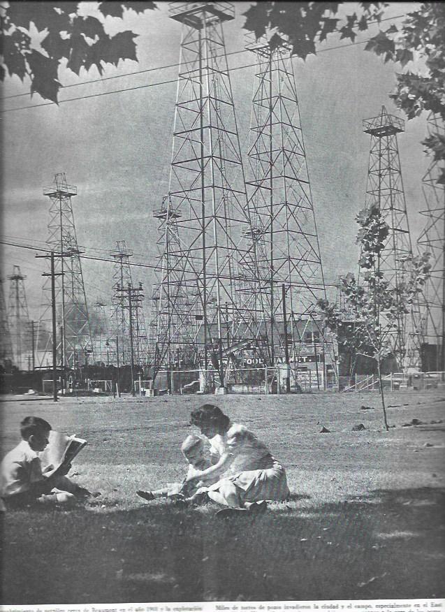 LAMINA 38518: Parque en East Texas Field