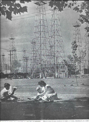 LAMINA 38518: Parque en East Texas Field