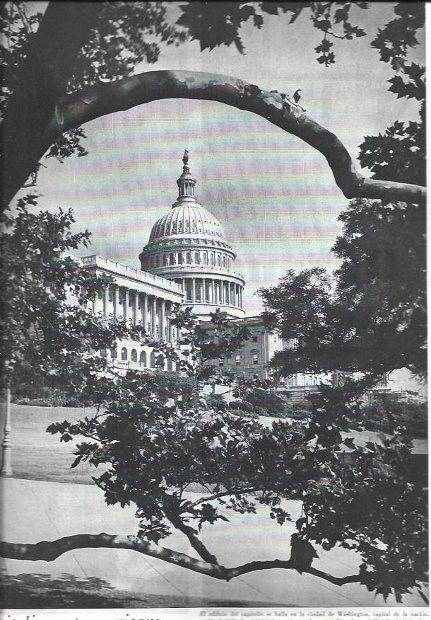 LAMINA 38498: El Capitolio en Washington