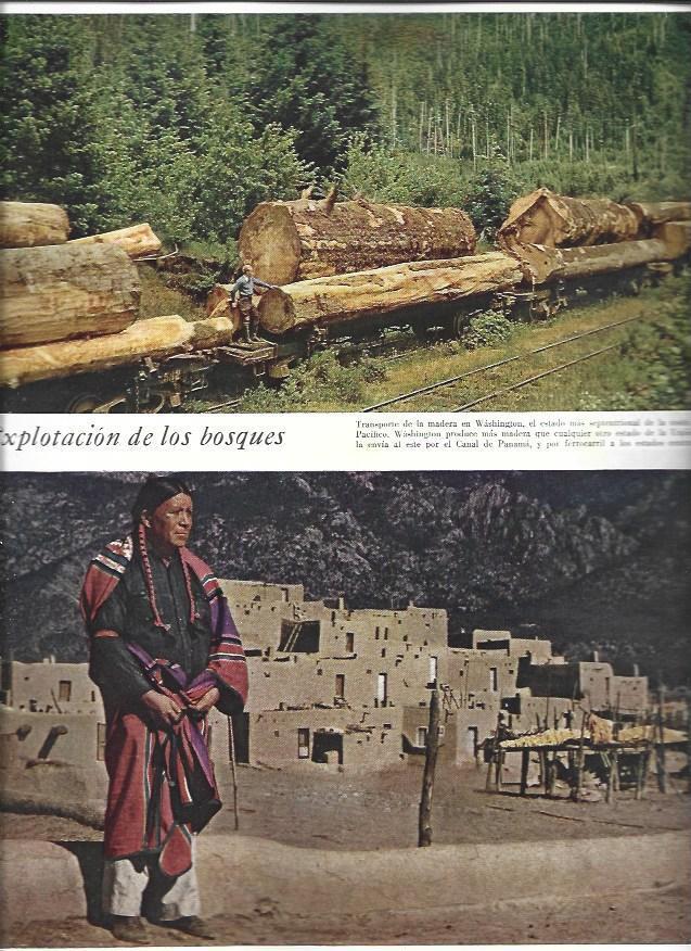 LAMINA 38497: Transporte de madera en Washington e indio norteamericano