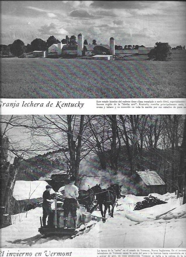 LAMINA 38495: Granja lechera de Kentucky