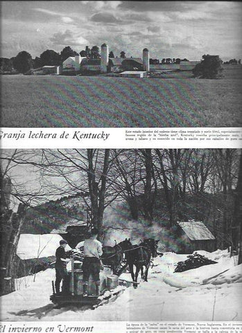 LAMINA 38495: Granja lechera de Kentucky