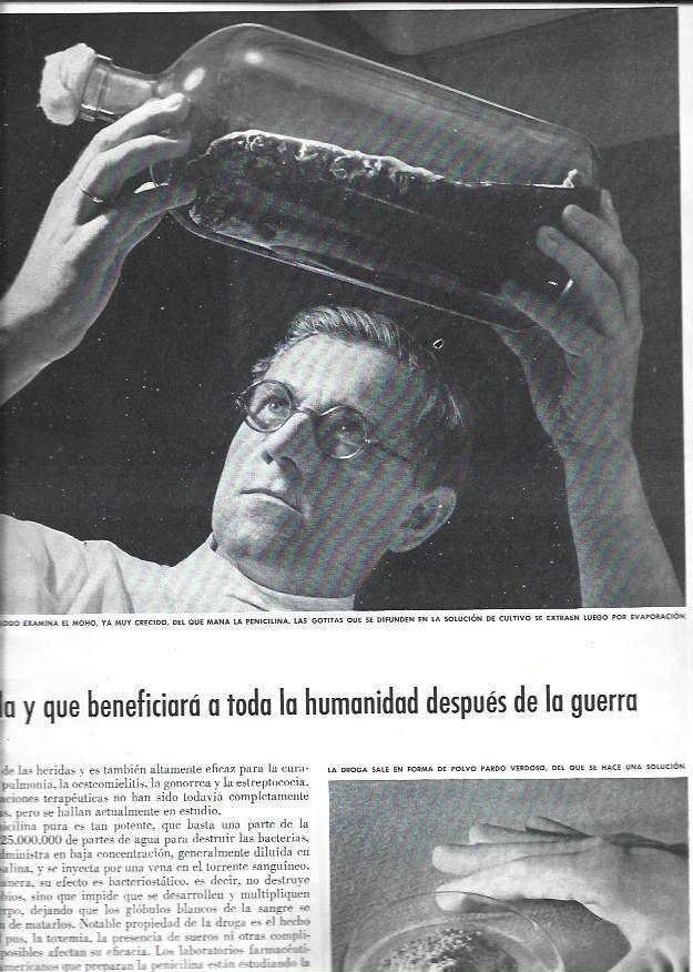 LAMINA 38482: Cientifico estudiando la penicilina