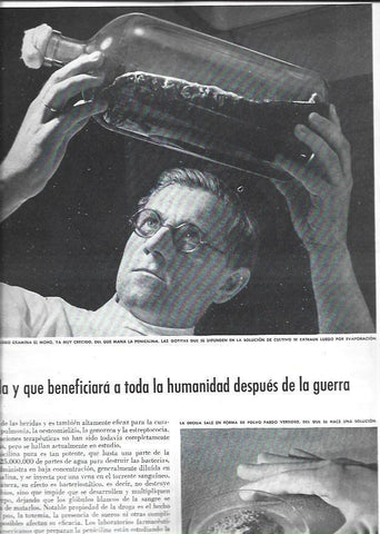 LAMINA 38482: Cientifico estudiando la penicilina