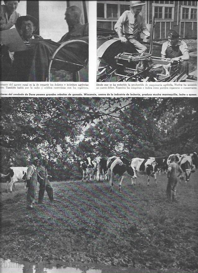LAMINA 38648: Agricultores del condado de Dane