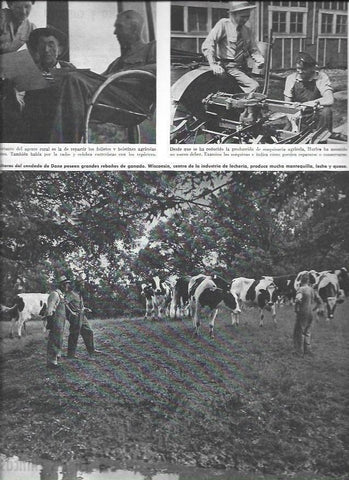 LAMINA 38648: Agricultores del condado de Dane