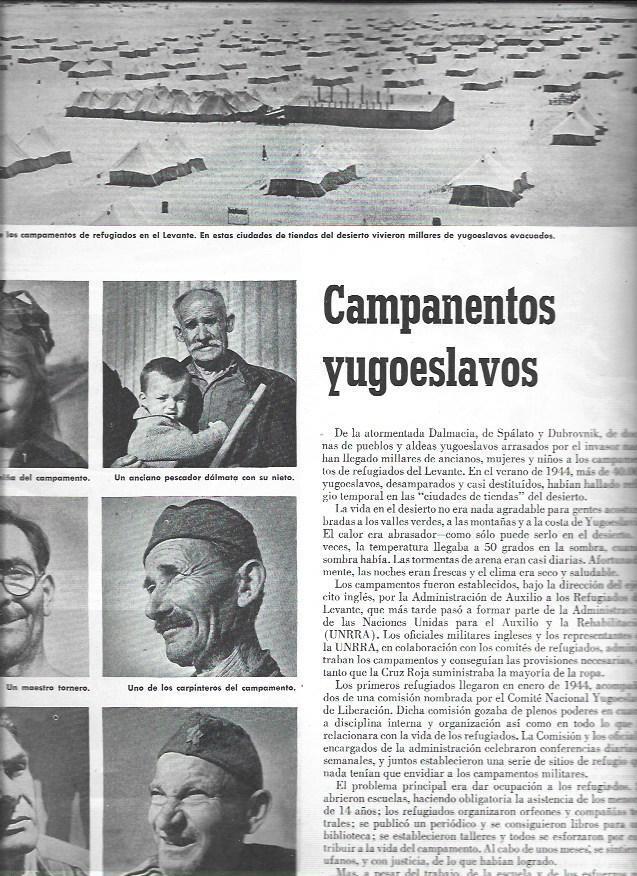 LAMINA 38627: Campamentos de refugiados en Yugoslavia 