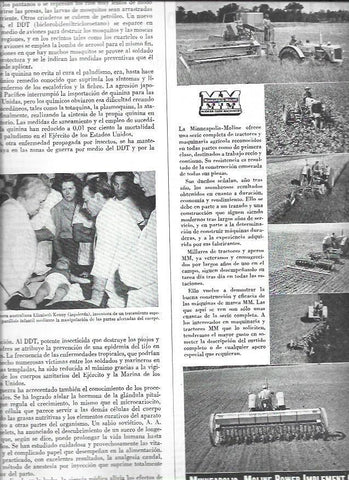 LAMINA 38670: La enfermera Elisabeth Kenny
