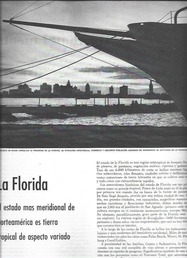 LAMINA 38574: Panoramica de Miami