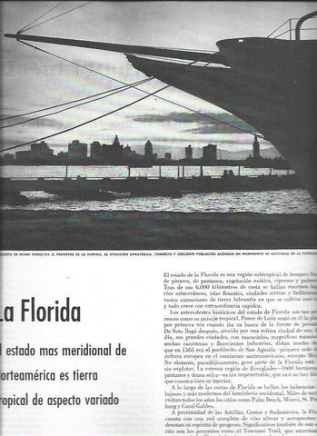 LAMINA 38574: Panoramica de Miami