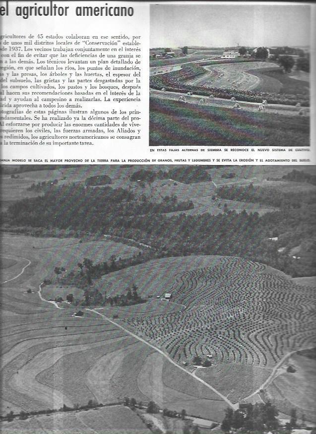 LAMINA 38558: Campos agricolas en Estados Unidos