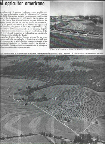 LAMINA 38558: Campos agricolas en Estados Unidos