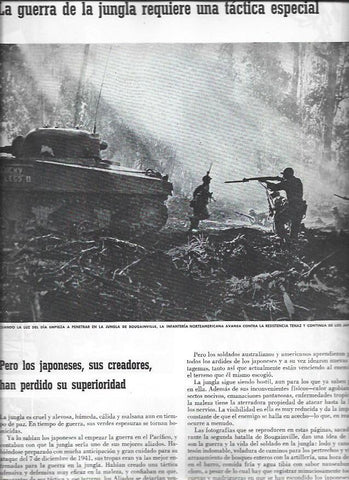 LAMINA 38591: Tropas en la jungla de Bougainville