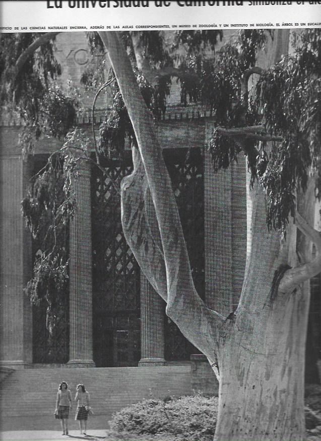 LAMINA 38594: Edificio de Ciencias Naturales de la Universidad de California