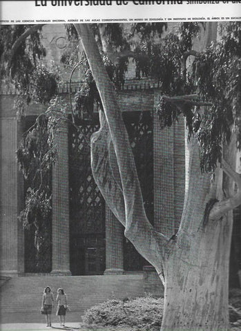 LAMINA 38594: Edificio de Ciencias Naturales de la Universidad de California