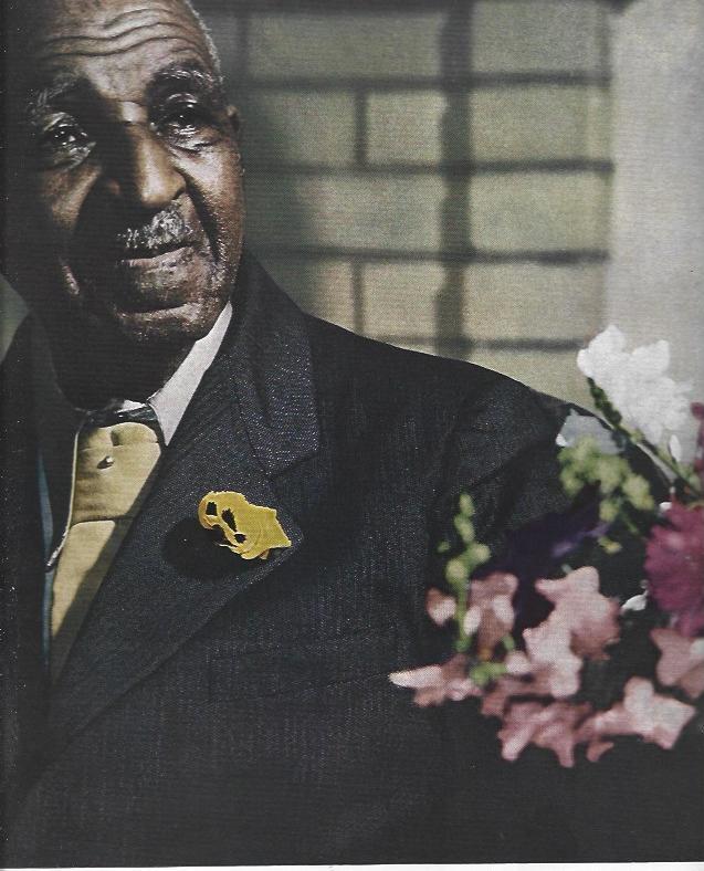 LAMINA 38599: Jorge Washington Carver