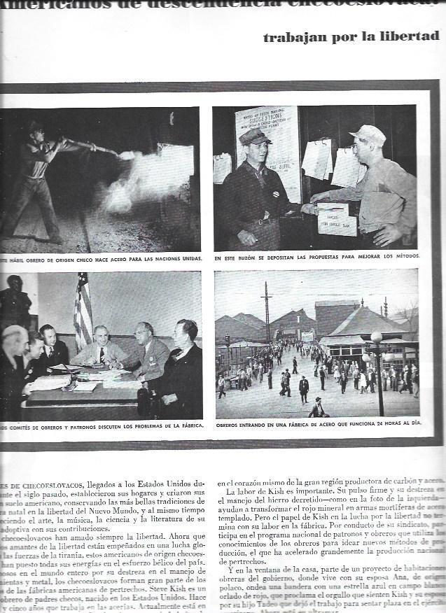 LAMINA 38398: Americanos de origen checo