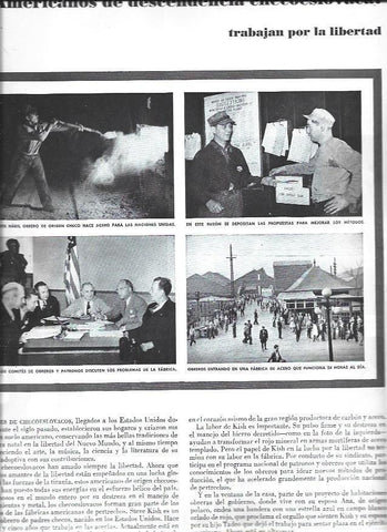 LAMINA 38398: Americanos de origen checo