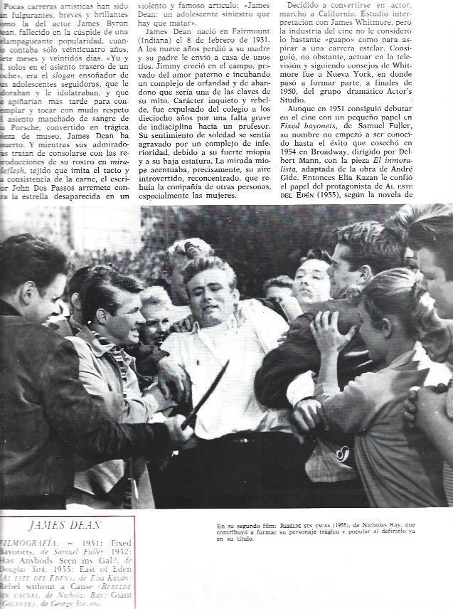 LAMINA 38335: James Dean en Rebelde sin causa