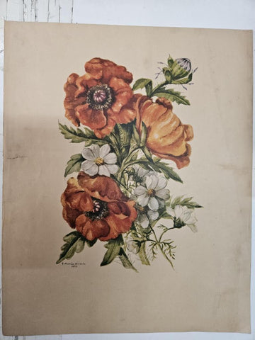 Lamina/póster (numerado 7), dibujo de varias flores firmado por P. Millán Alosete 1955