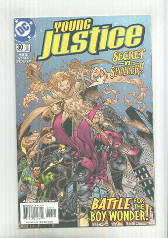 DC Comics: Young Justice numero 30
