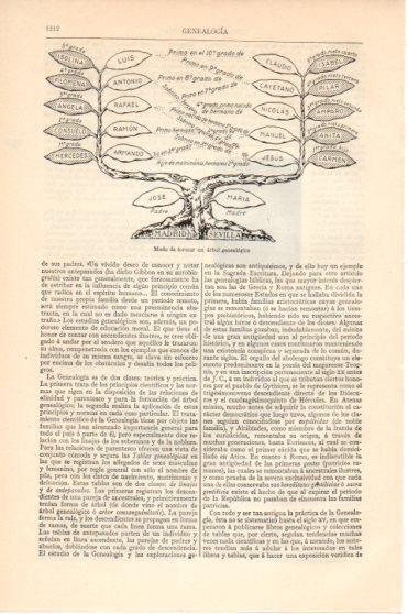 LAMINA V46298: Arbol genealogico