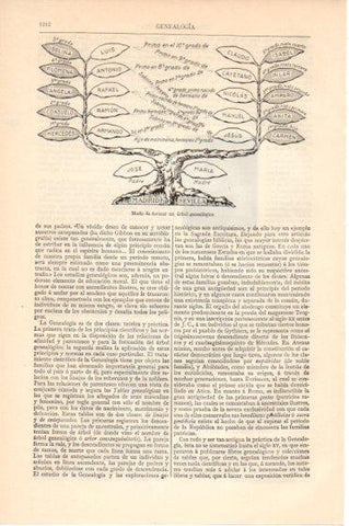 LAMINA V46298: Arbol genealogico