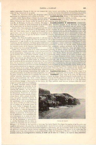 LAMINA V46265: Costa de Garraf