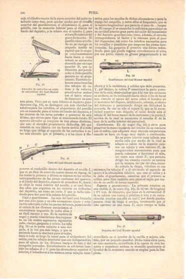 LAMINA V46171: Partes del fusil Mauser español