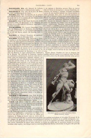 LAMINA V46210: Galo dando muerte a su mujer escultura