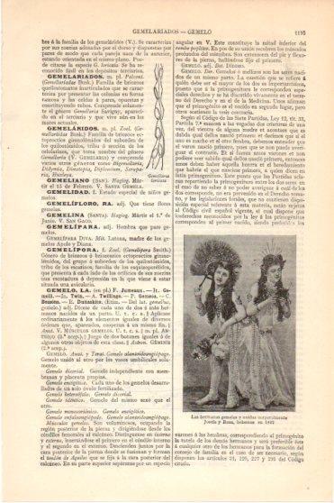 LAMINA V46300: Hermanas gemelas Josefa y Rosa en 1892