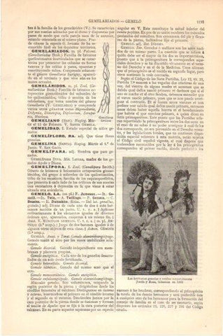 LAMINA V46300: Hermanas gemelas Josefa y Rosa en 1892