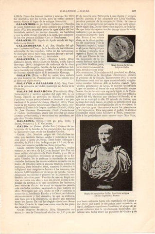LAMINA V46201: Busto del emperador Galba