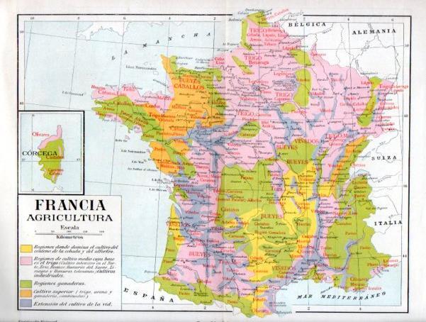 LAMINA V46446: Mapa de la agricultura en Francia