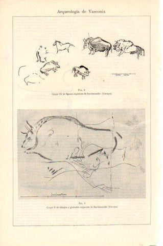 LAMINA V46347: Figuras rupestres de Santimamiñe